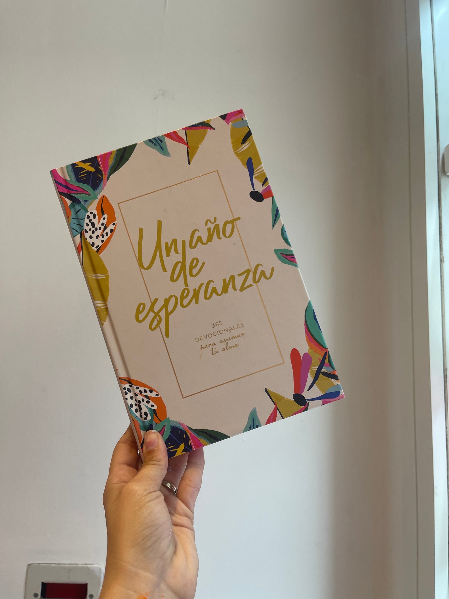 Un año de Esperanza Libro