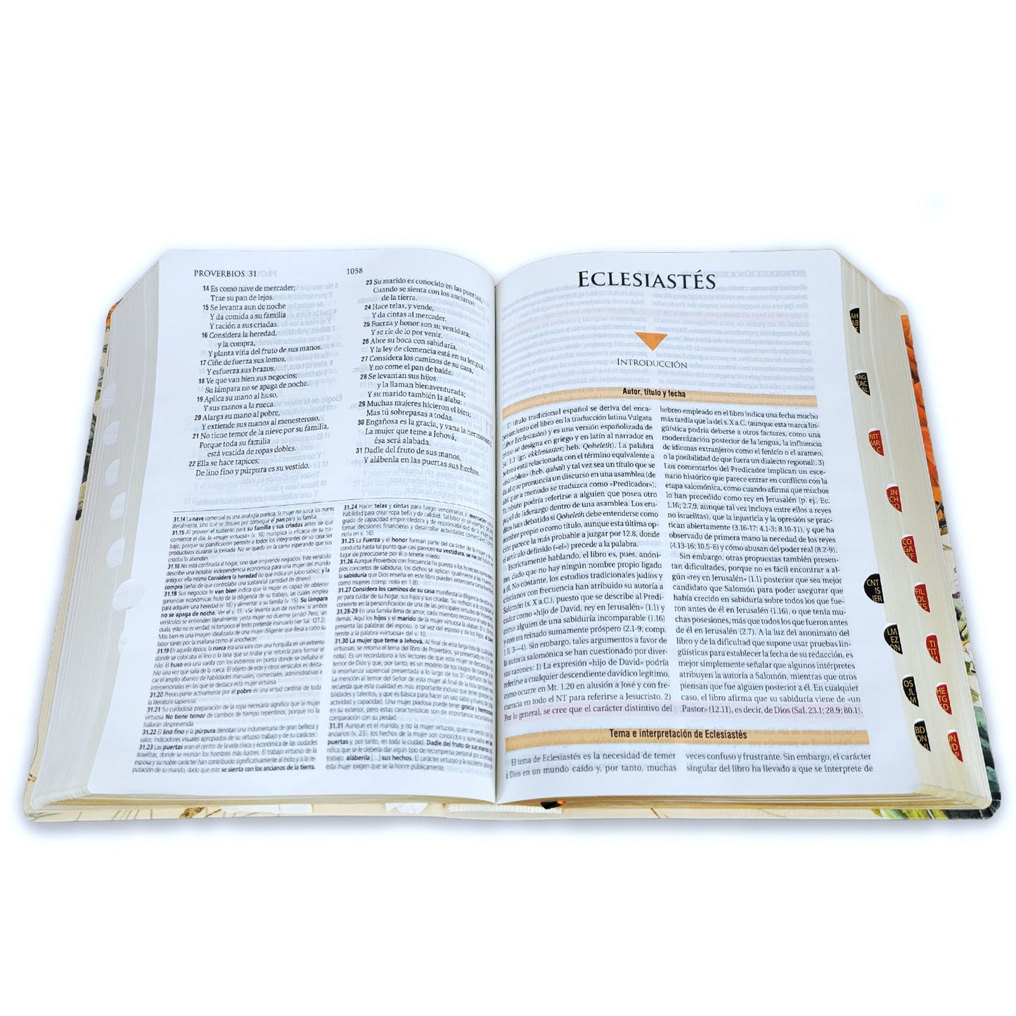 Biblia de Estudio Teológico para Mujer