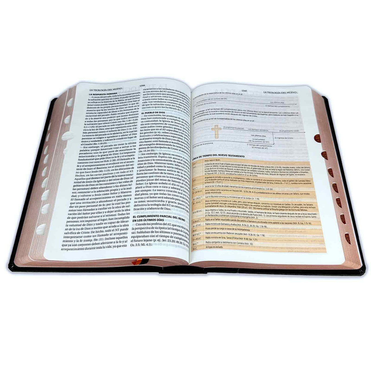 Biblia de estudio teologico negra