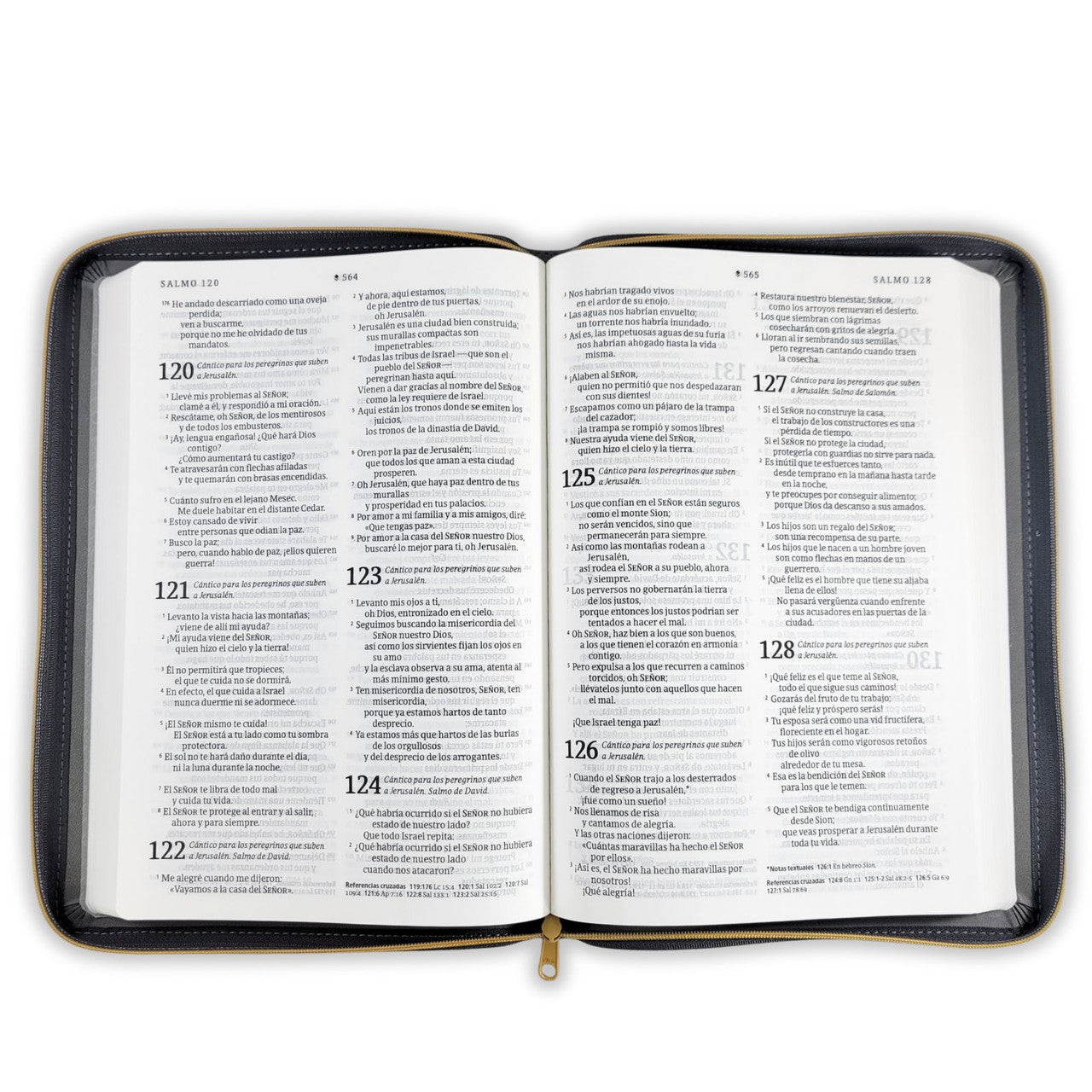 Biblia NTV Ultra Final Letra Grande