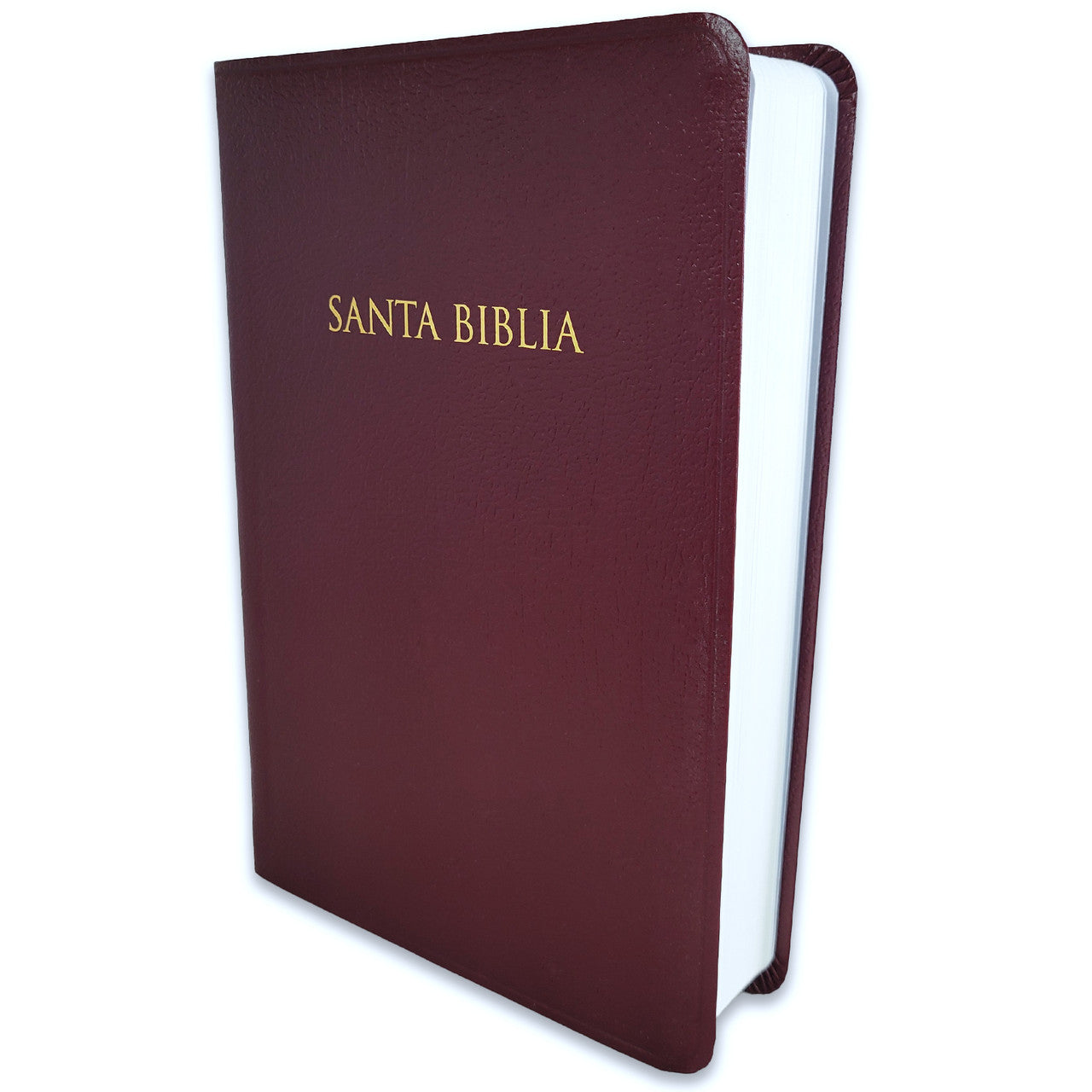 Santa Biblia para regalos y premios Vino