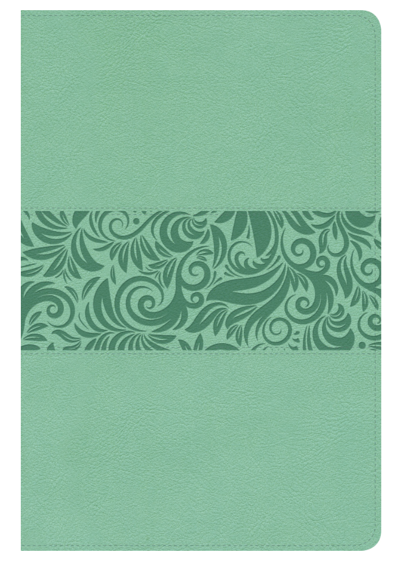 Biblia Regalos y premios Turqueza