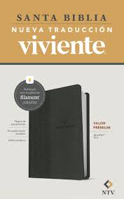 Biblia NTV Valor Premium Gris