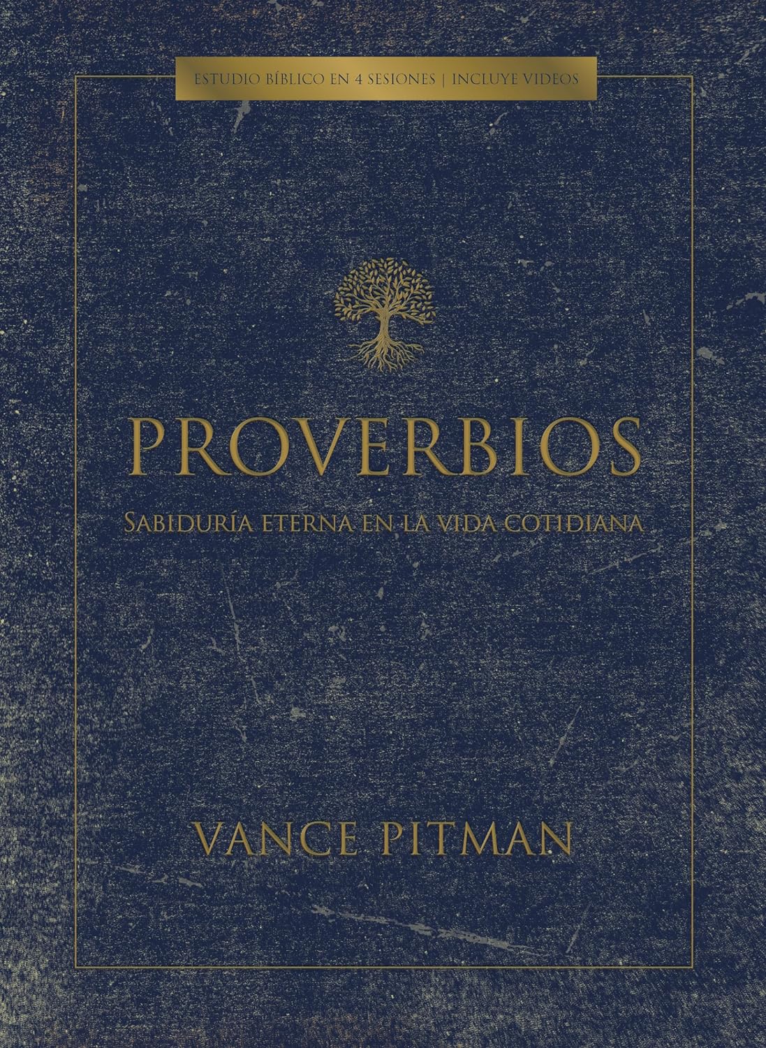 Proverbios Sabiduría Eterna Estudio Biblico Libro