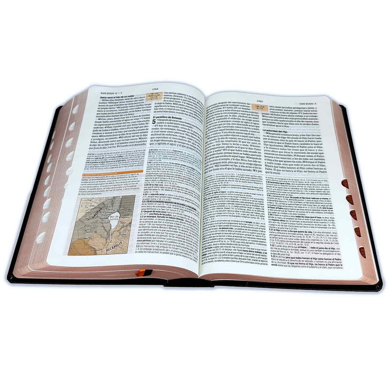 Biblia de estudio teologico negra