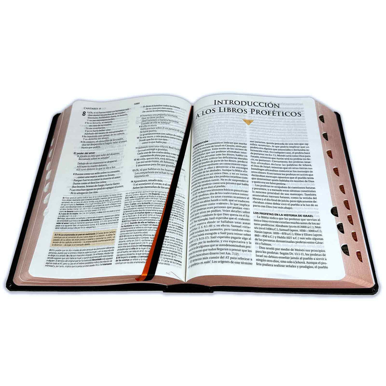 Biblia de estudio teologico negra