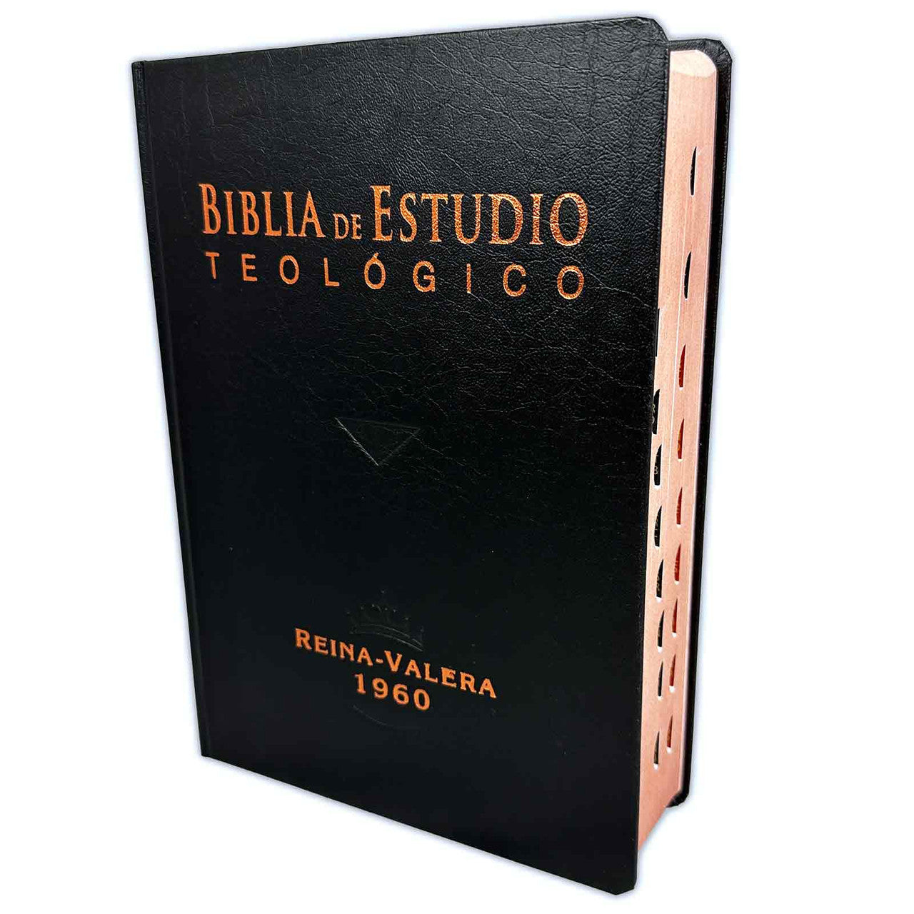 Biblia de estudio teologico negra