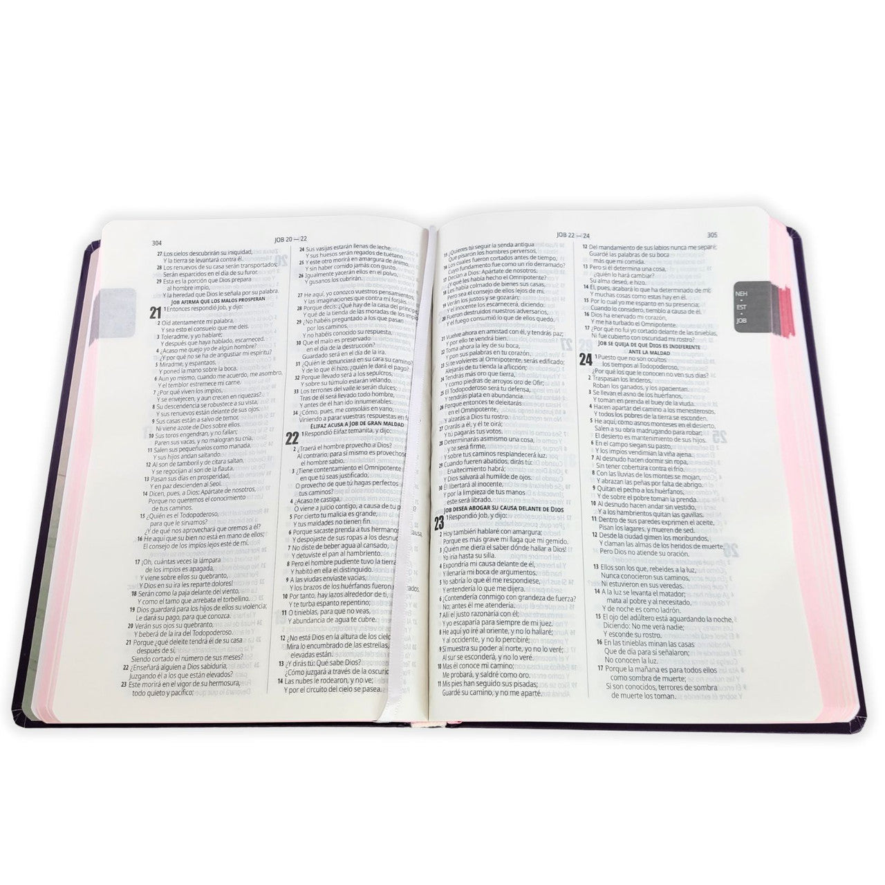 Biblia Fuente de Bendiciones RVR 1960