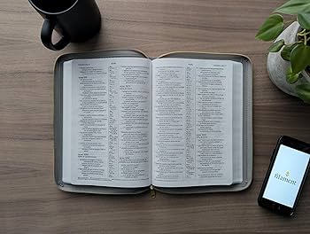 Santa Biblia Letra Grande NTV Columna central Gris Zipper