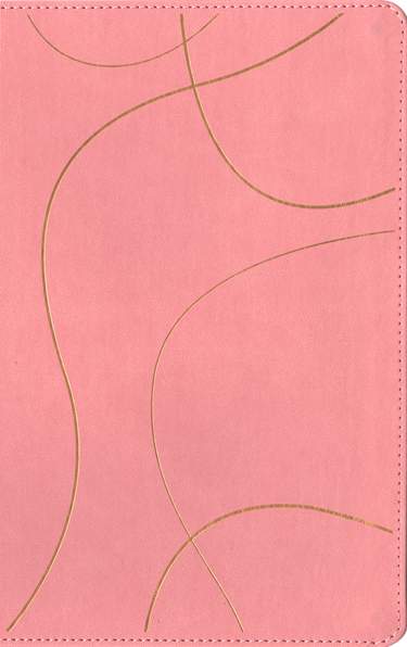 Biblia para Jovenes  NTV Rosa