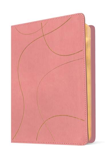 Biblia para Jovenes  NTV Rosa