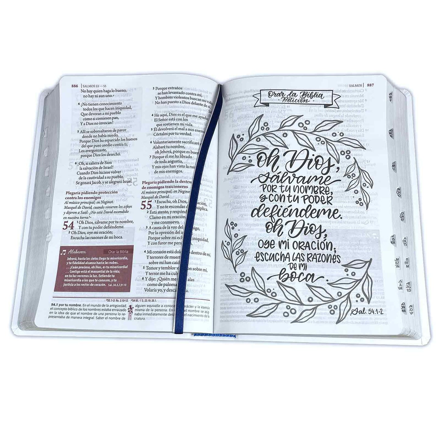 Biblia de Estudio Ser Mujer