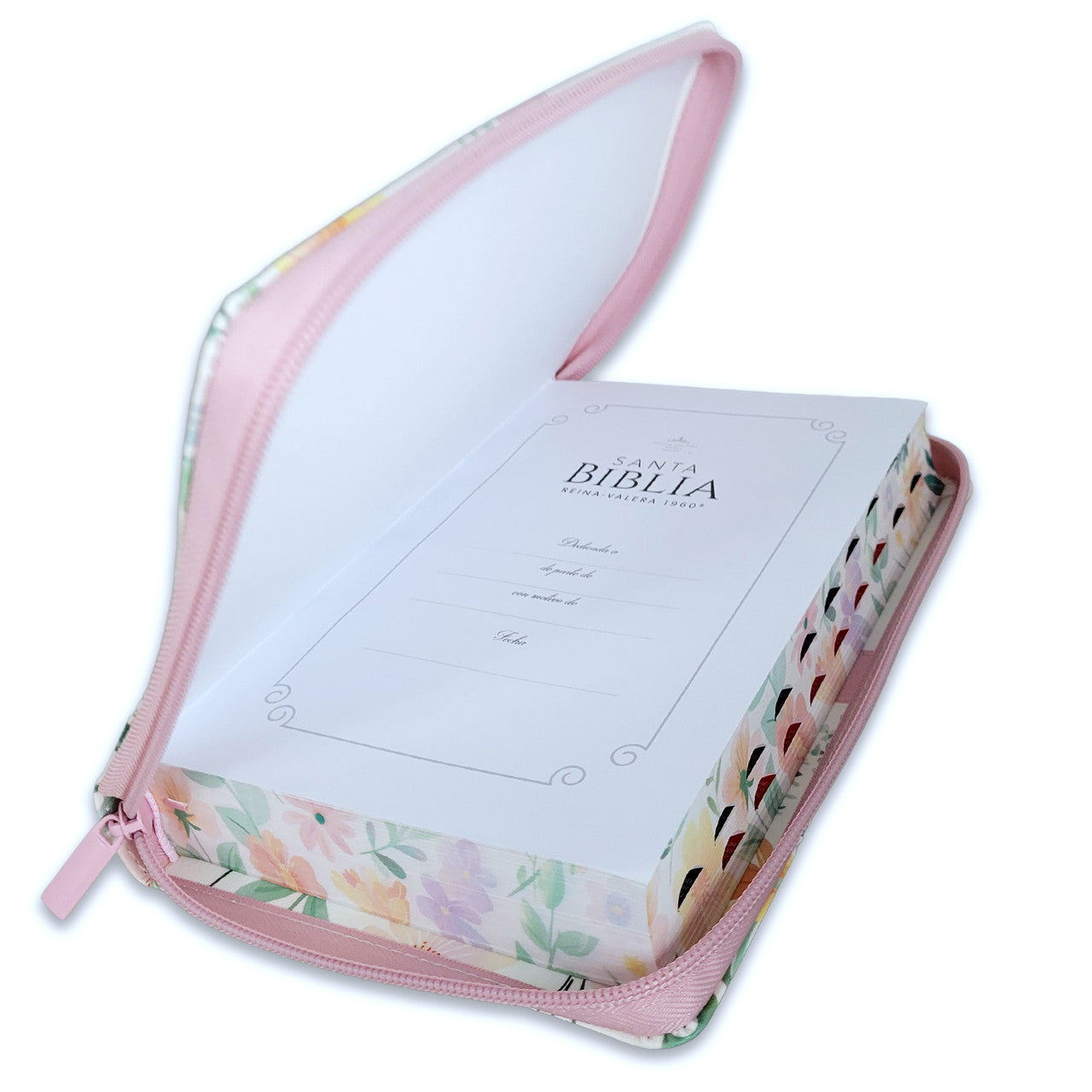 Santa Biblia Quinceañera Letra Grande RVR 1960