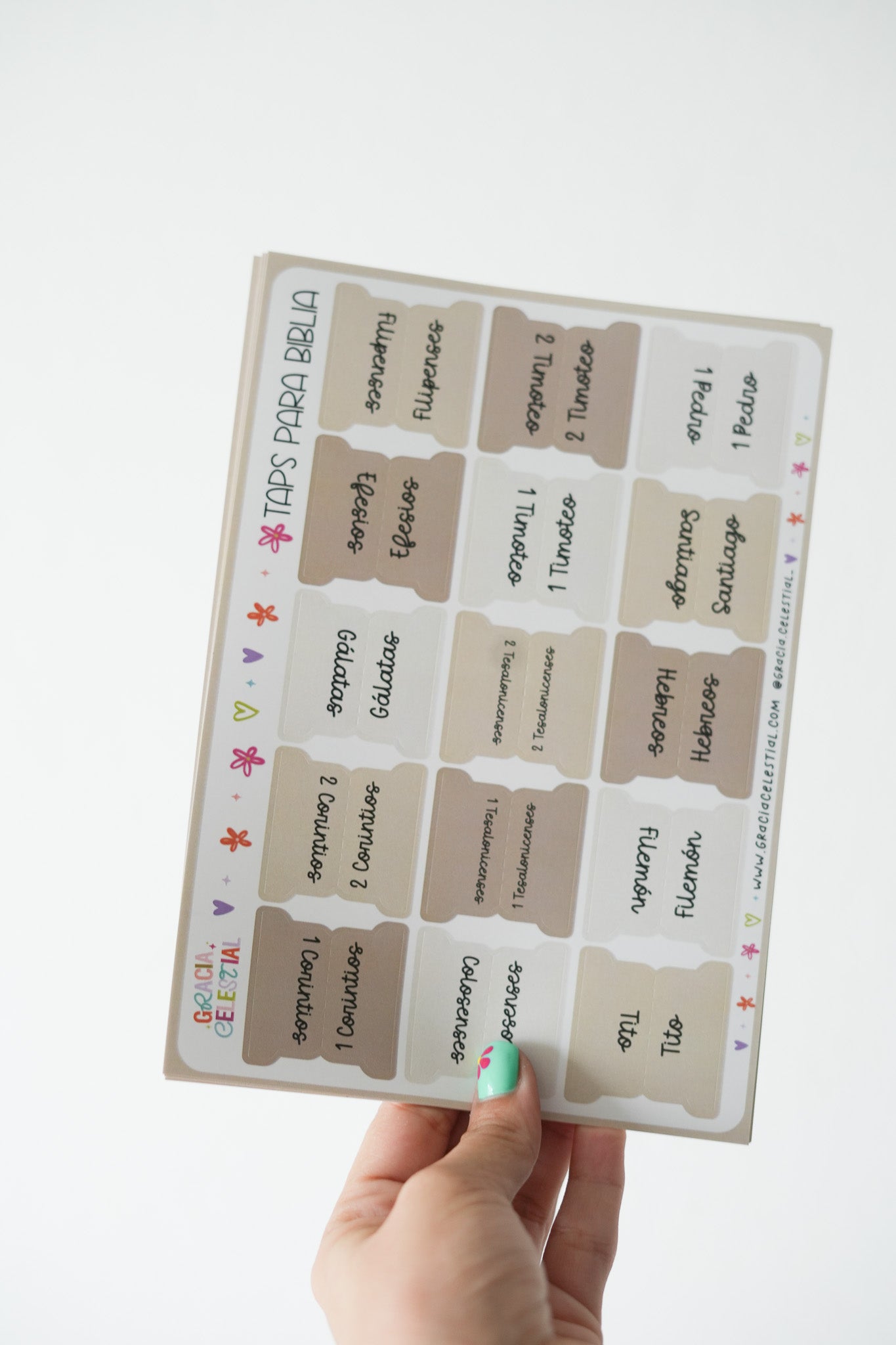 Taps para la Biblia (CREMA)