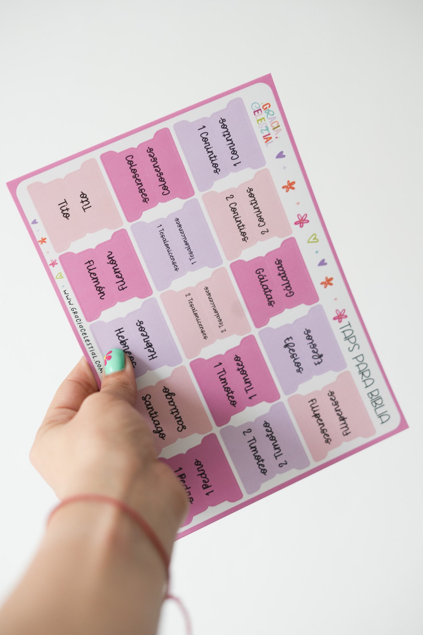 Taps para la Biblia (ROSA Y VIOLETA)