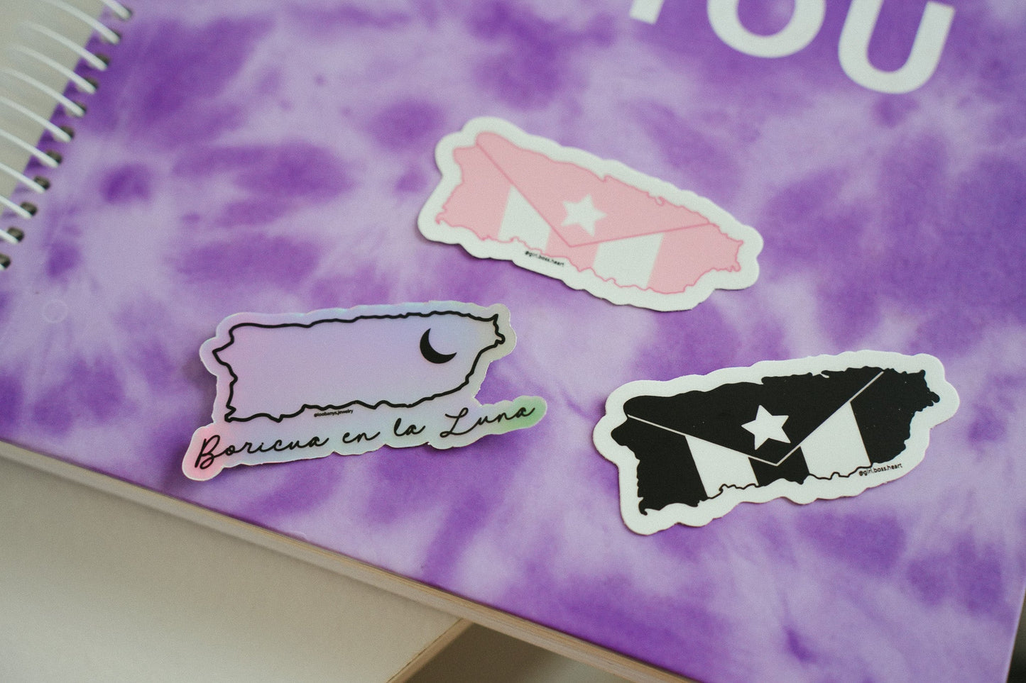 Tornasol Boricua en la Luna Sticker