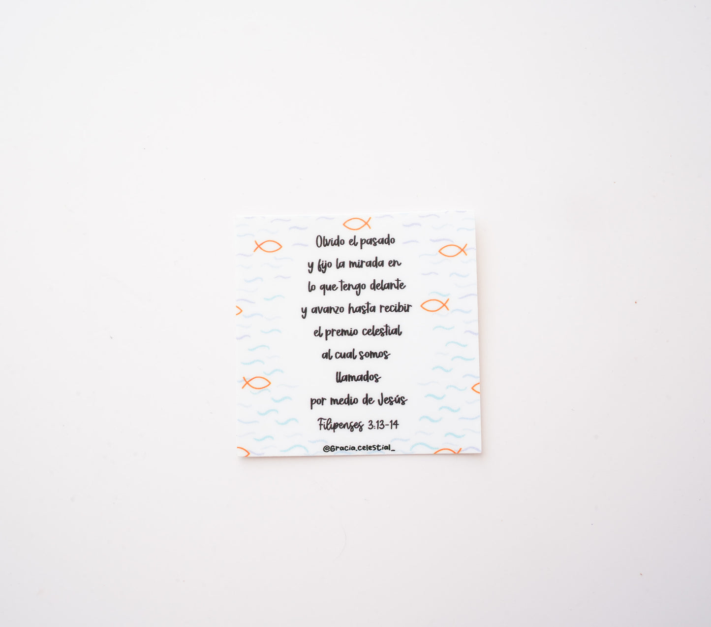 Olvido el pasado Sticker