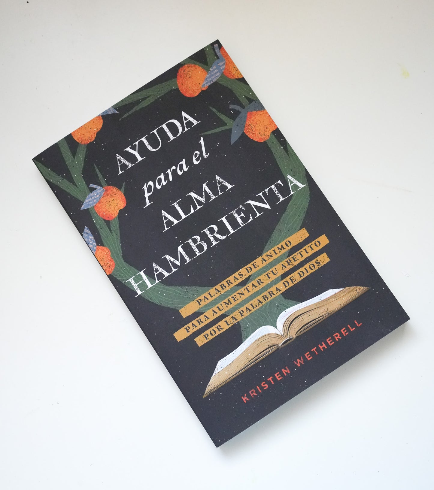 Ayuda para el Alma Hambrienta Libro