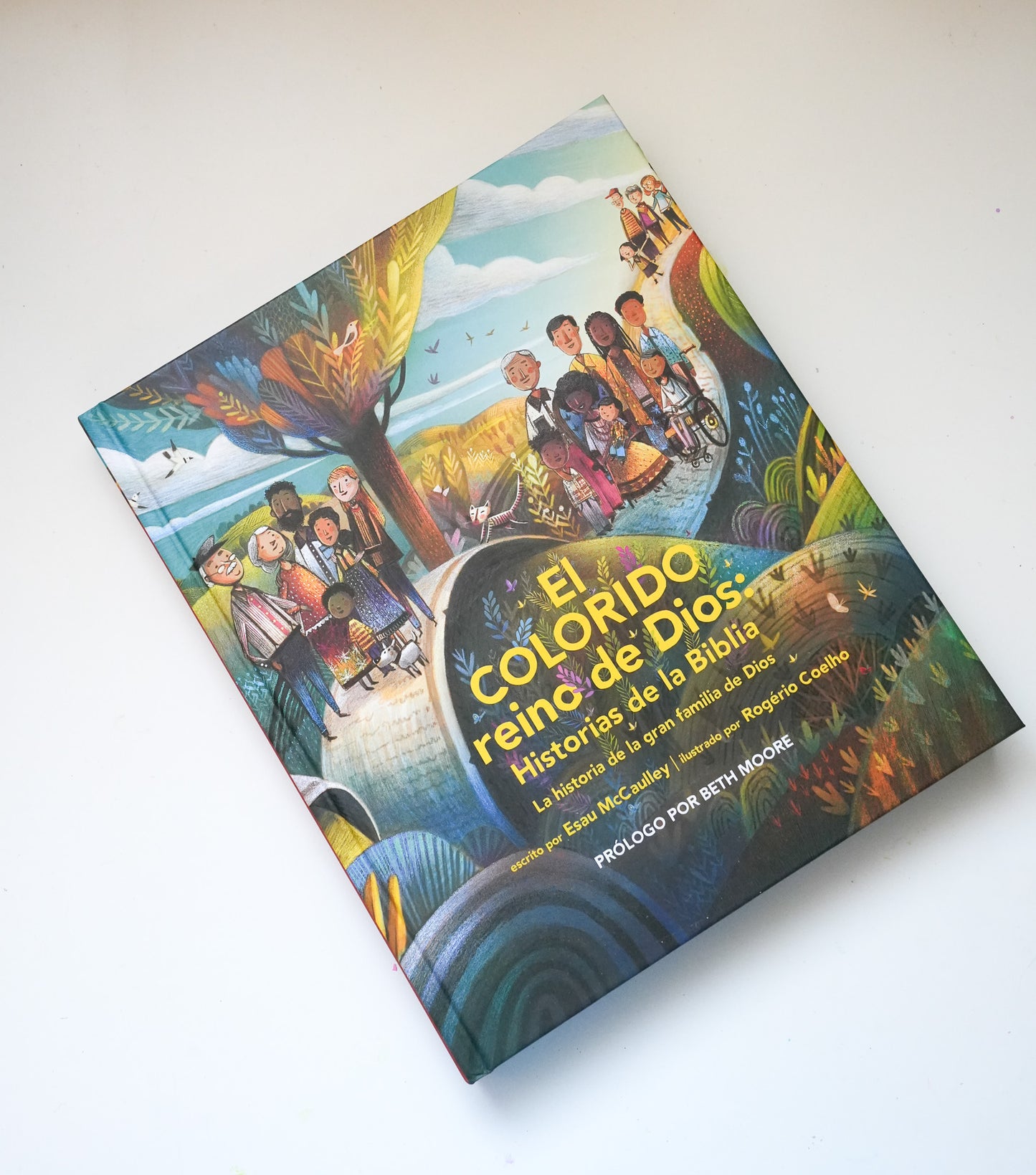 El colorido reino De Dios Libro niños