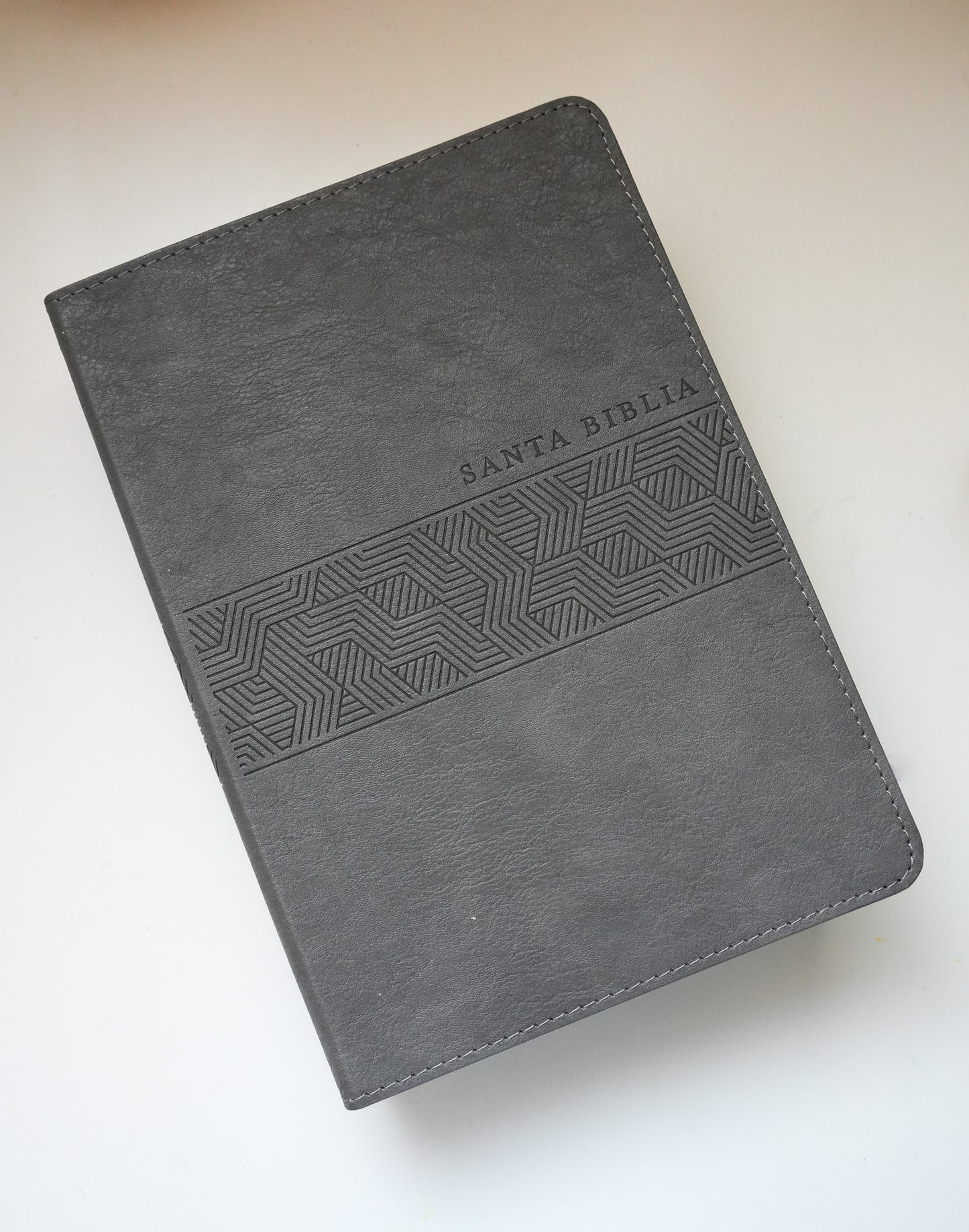 Biblia NTV Letra Gigante Edición Manual Gris