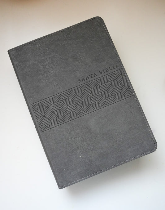 Biblia NTV Letra Gigante Edición Manual Gris