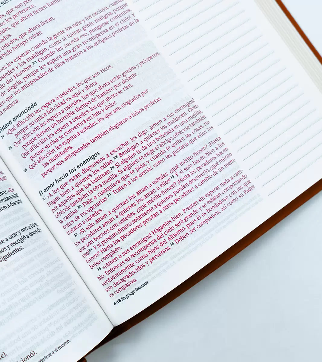 Biblia de Margen Amplio NTV Simil Piel Café León con Índice