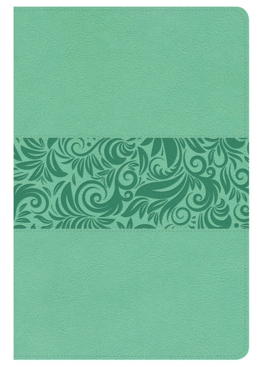 Biblia Regalos y premios Turqueza