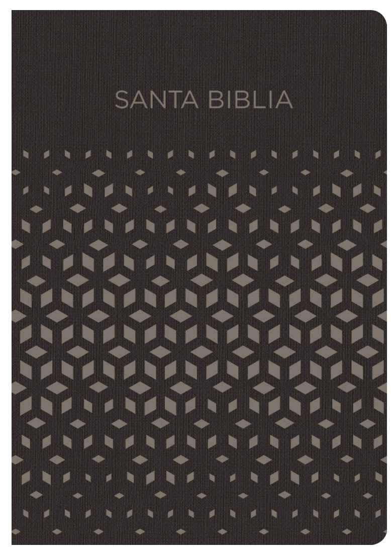 Biblia negra y plata