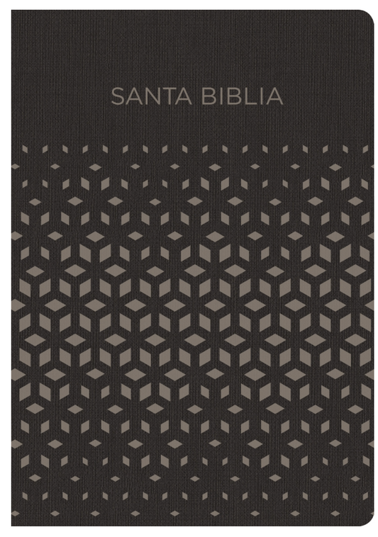 Biblia negra y plata