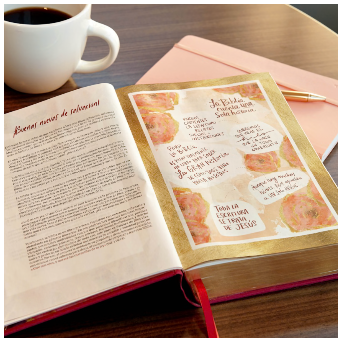 Biblia Centra en Cristo Biblia Devocional Flower RVR1960 Centrada