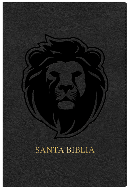 Biblia letra grande tamaño manual edición especial, ceniza, símil piel leon