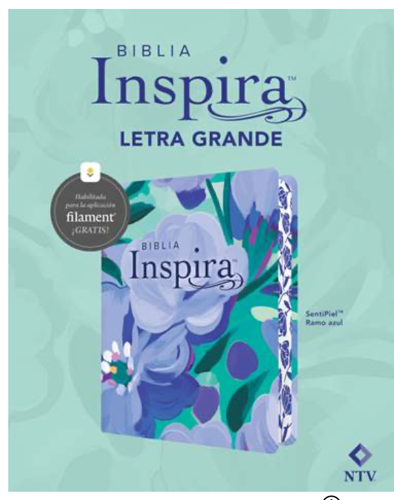 Biblia Inspira Letra Grande Azul