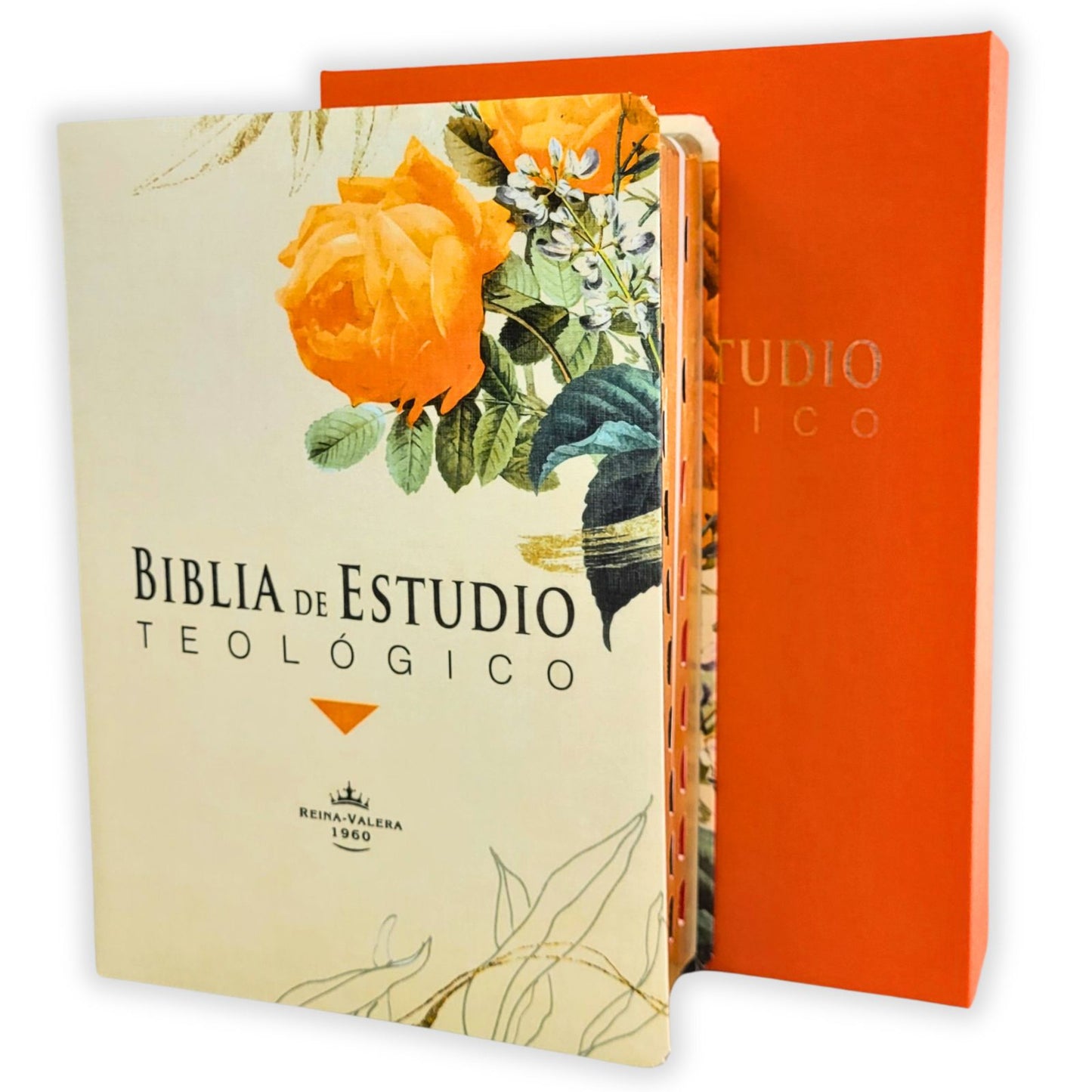 Biblia de Estudio Teológico para Mujer