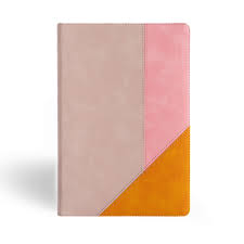 Biblia Arcoiris Negra Cuero Rosa y naranja