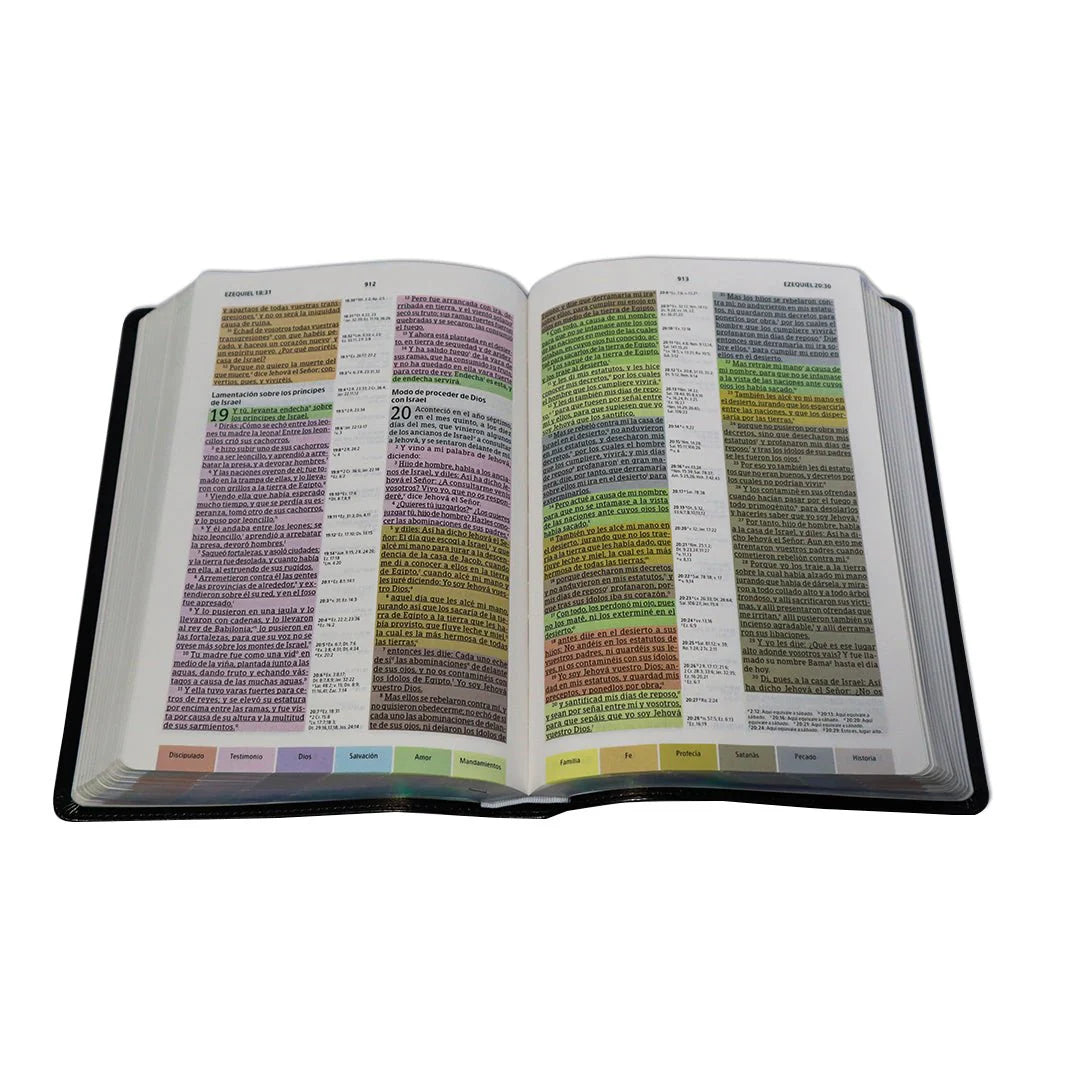 Biblia Arcoiris Negra Cuero