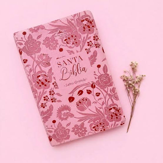 Santa Biblia Letra Grande RVR1960 rosa y roja