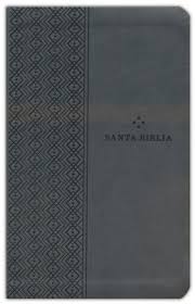 Biblia NTV Valor Premium Gris